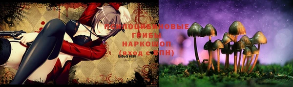 прущие крисы Саяногорск